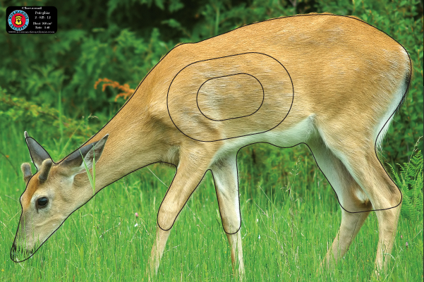 Normandie Archerie - Blason Nature