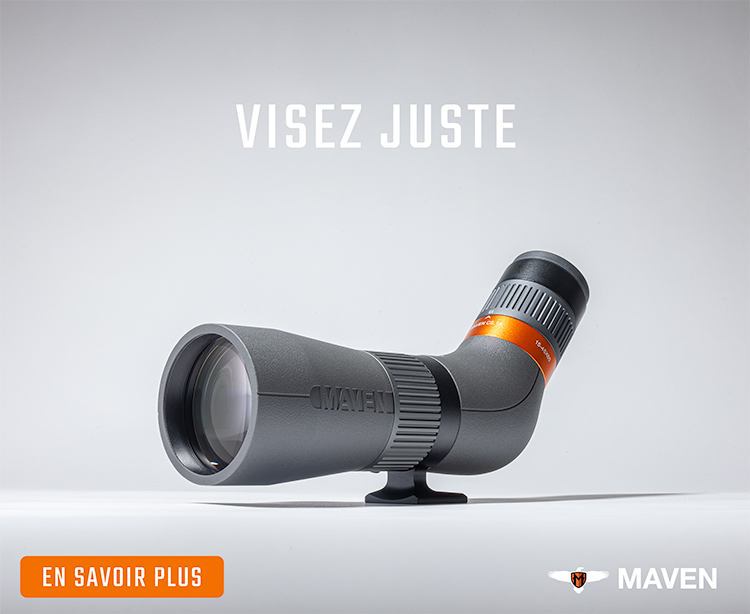 Maven - Viser Juste 