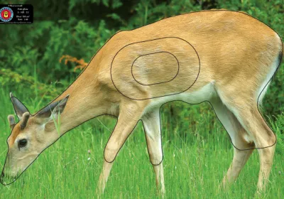 Tir nature : catalogue des blasons animaliers