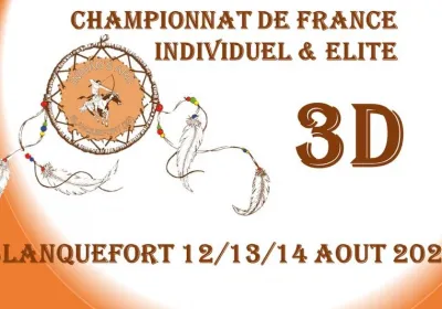 Blanquefort signe le retour du championnat de France 3D