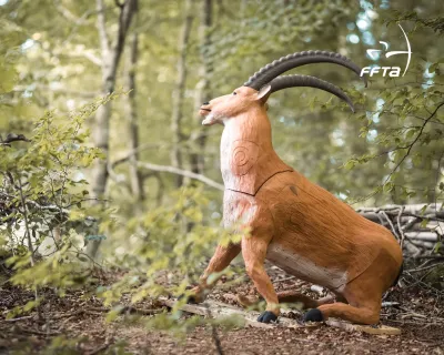 modifié-05.jpg