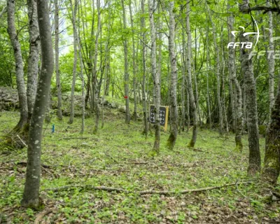 archery-studio21.jpg