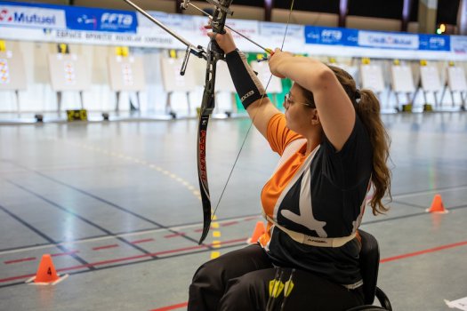 World Archery Field 3x20 Blason de tir à l'arc