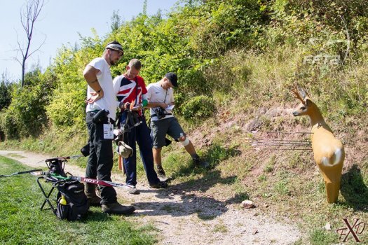 Un concours de tir à l'arc en 3D organisé à Theillay - Theillay (41300)